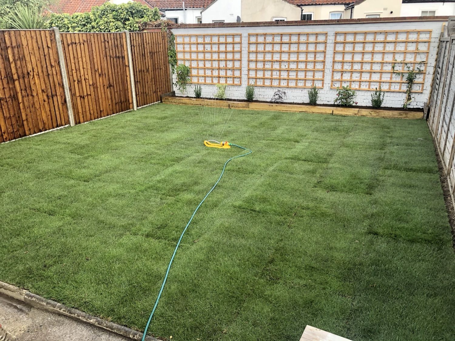 Garden after: new turf laid, with a sprinkler watering it in